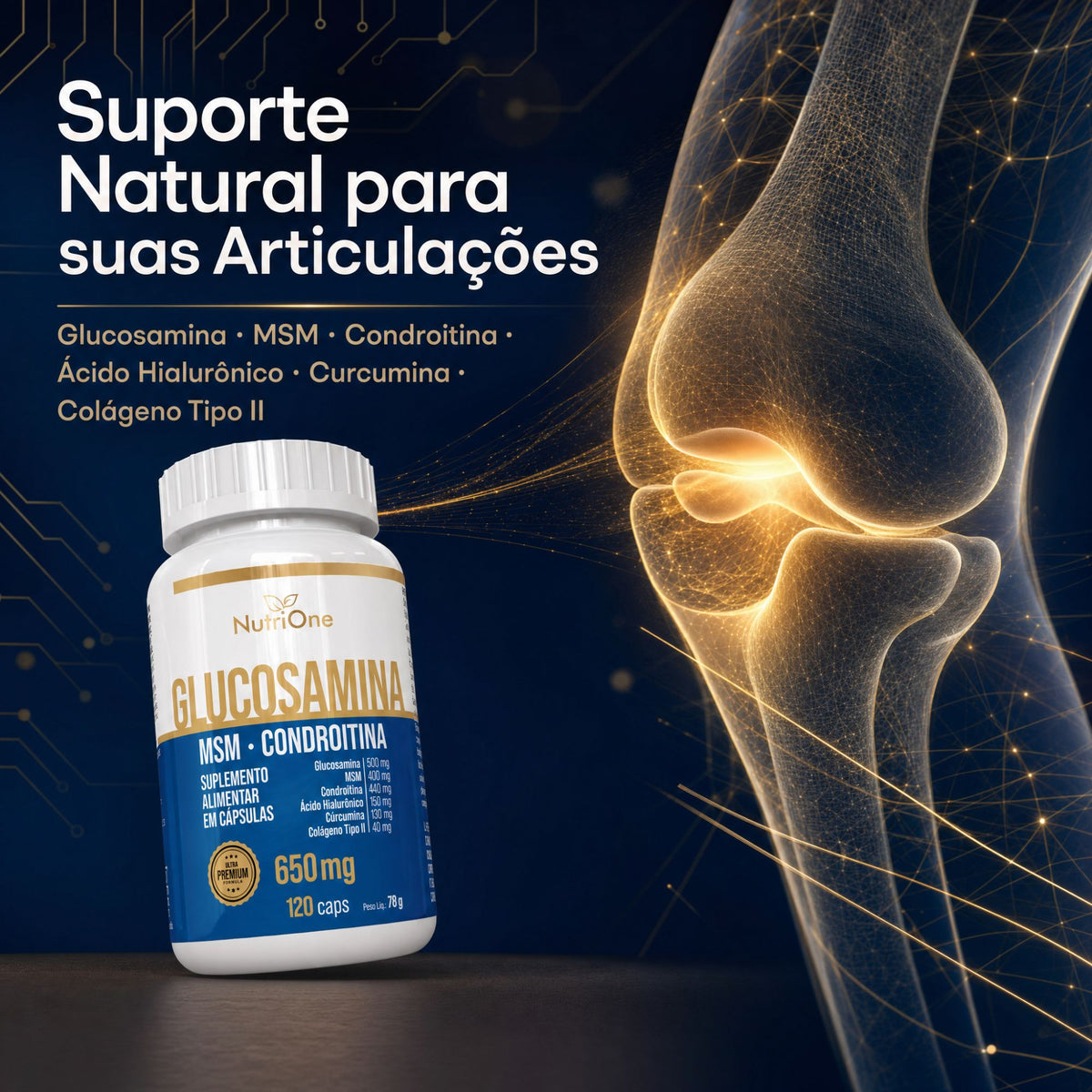 Glucosamina, MSM, Condroitina, Curcumina, Colageno Tipo II, Acido Hialuronico e Calcio 120 Caps - Nutrione