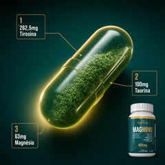 Magmind Formula Memoria Concentracao Foco 600mg - Nutrione