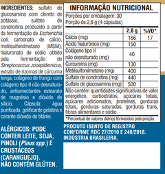 Glucosamina, MSM, Condroitina, Curcumina, Colageno Tipo II, Acido Hialuronico e Calcio 120 Caps - Nutrione